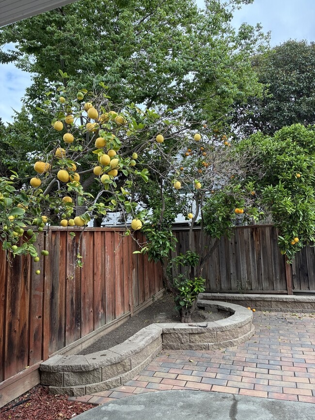 Building Photo - 706 Ridgeview Terrace