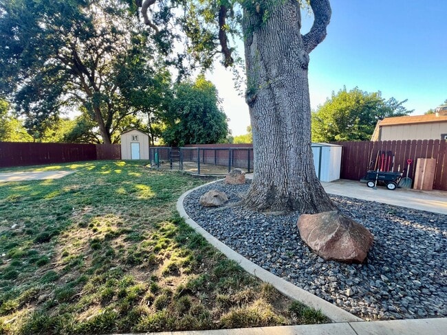 Building Photo - Well maintained single story on over half an acre lot!