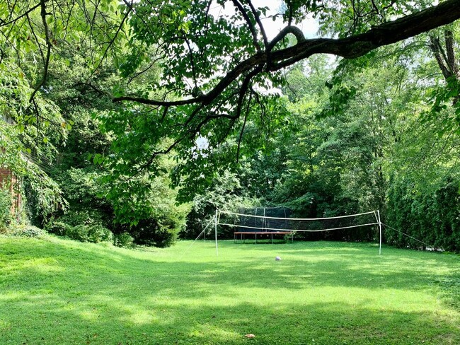 side yard - 526 Greystone Rd