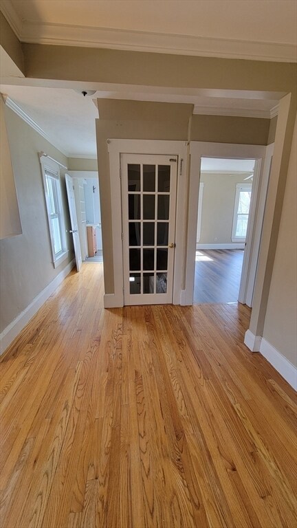 Building Photo - 10 Marion St