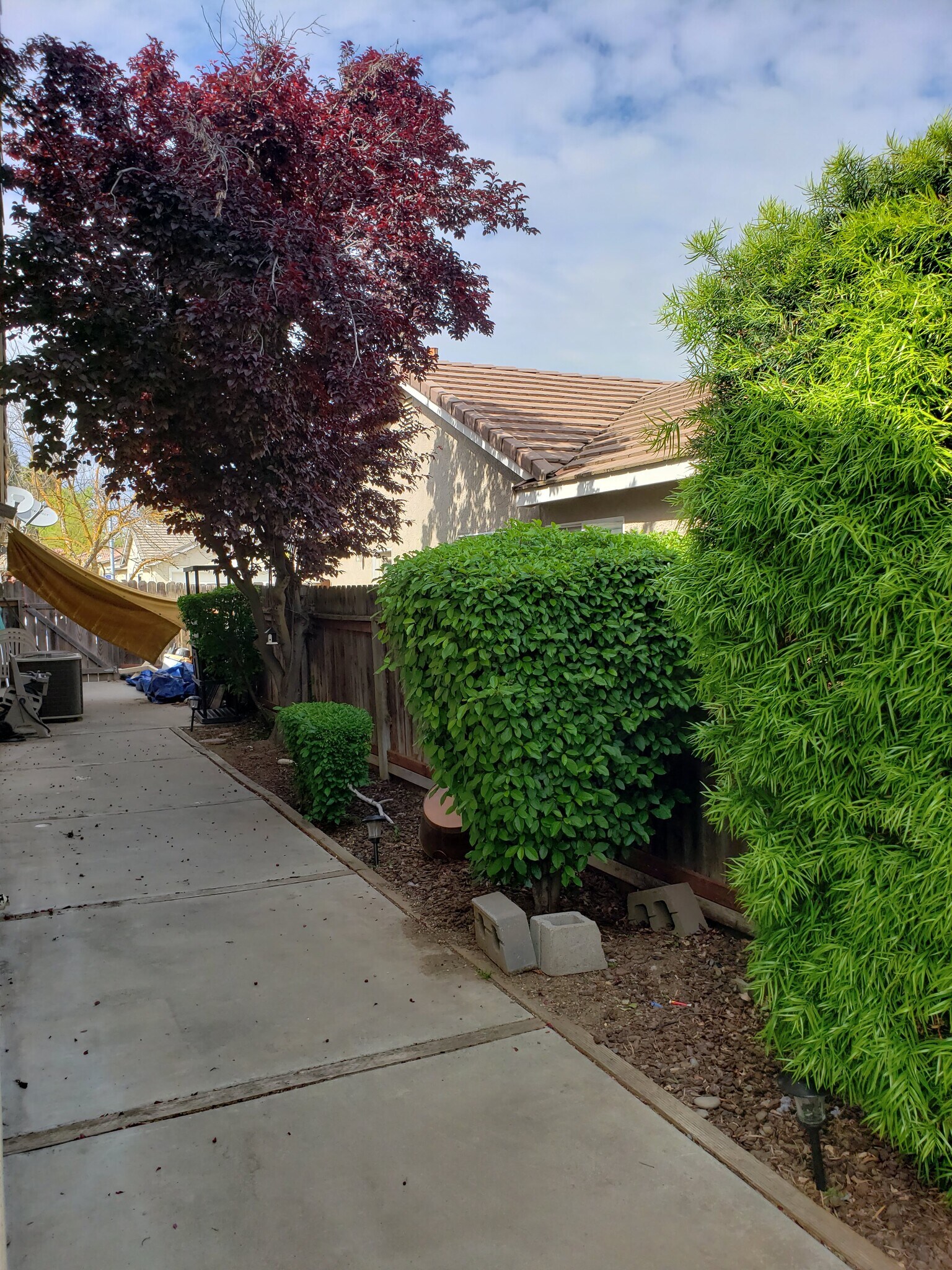Building Photo - 2054 Pinehurst Ct
