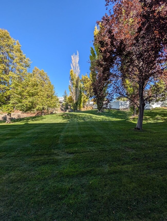 Building Photo - 1366 Delphic Way