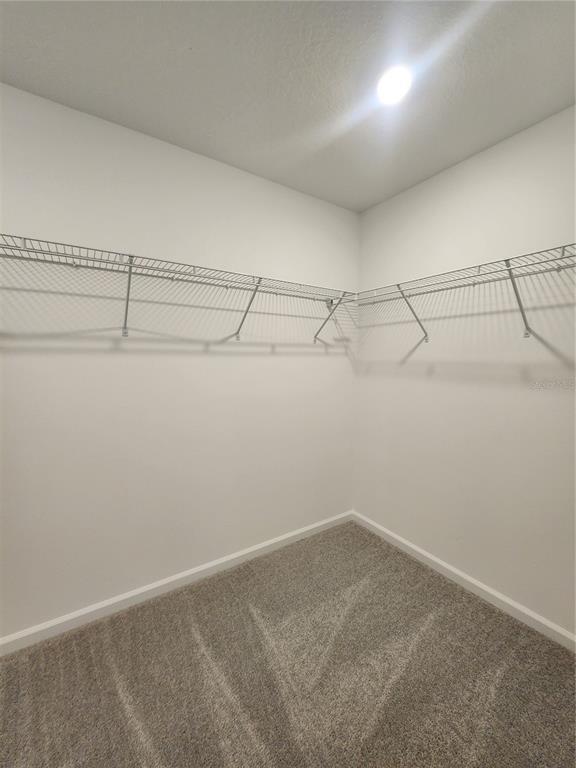 Building Photo - 1220 Belle Isle Ln