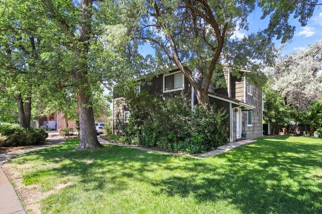 Primary Photo - Newly Remodeled 1 BR Available Now!
