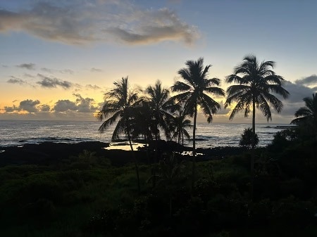 Building Photo - 2405 Kalanianaole St
