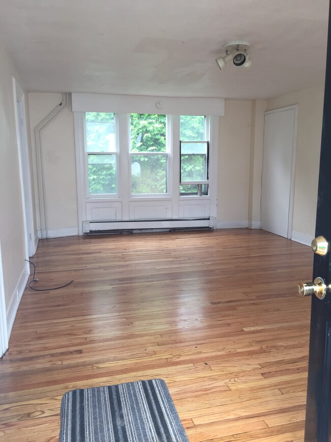 Rear living room - 166 W 4th St