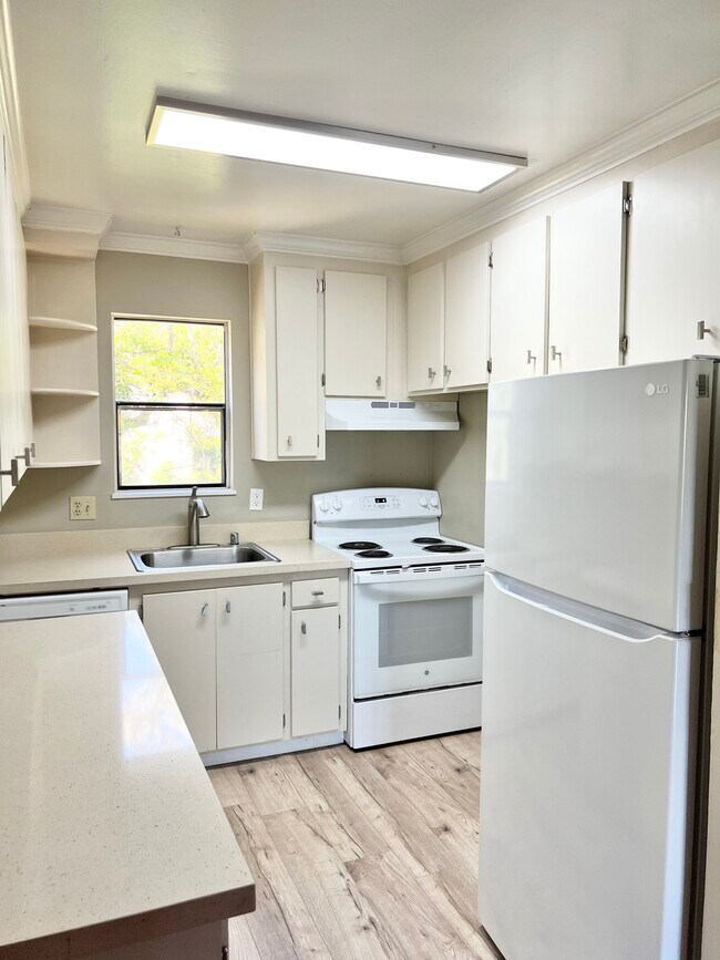 Building Photo - 250 Chilpancingo Pkwy