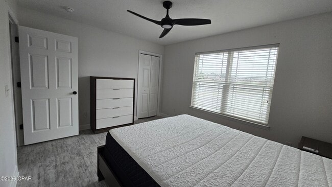 Building Photo - 2162 Sterling Cove Blvd