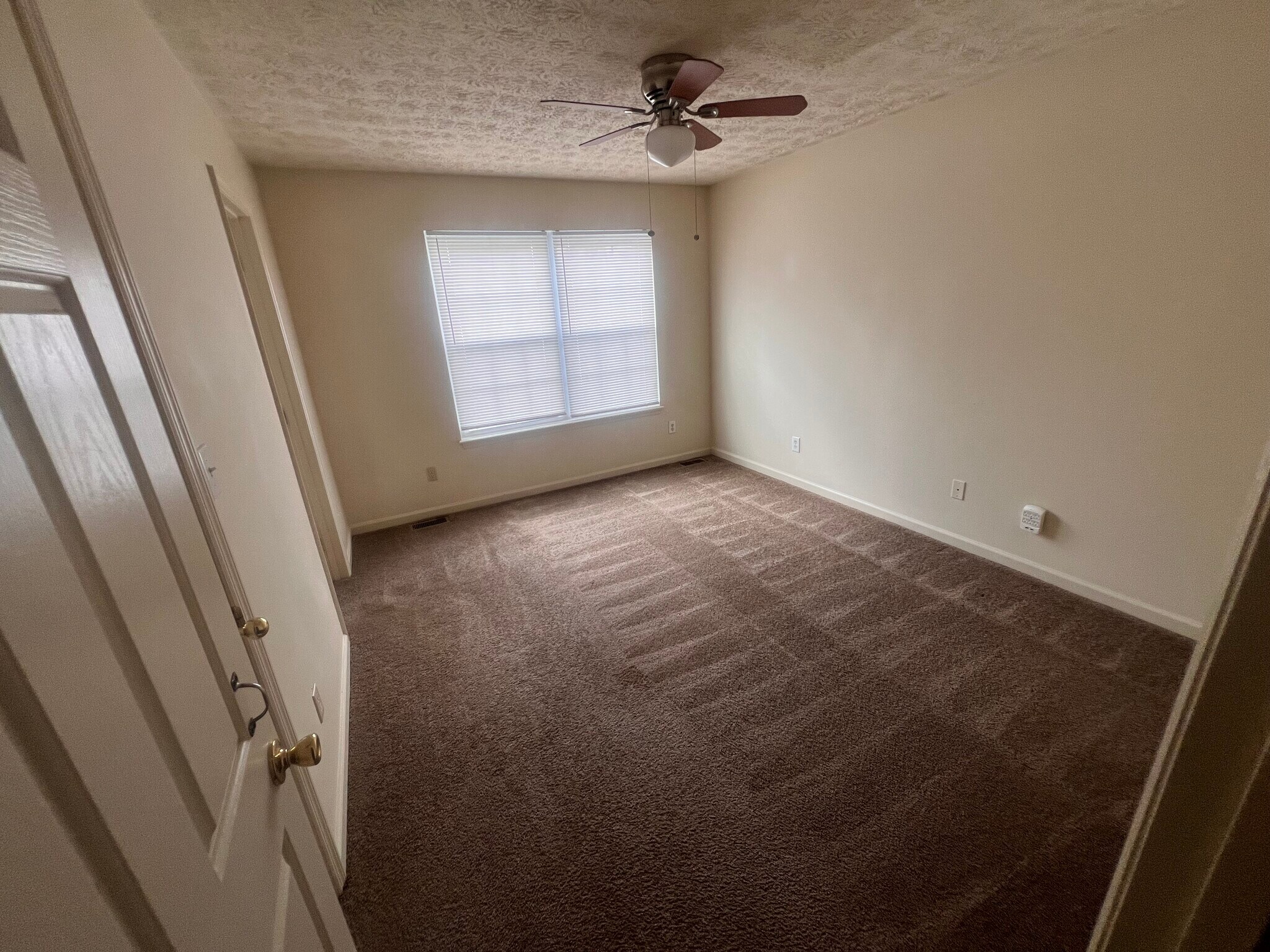 Building Photo - 2801 Styx Ct
