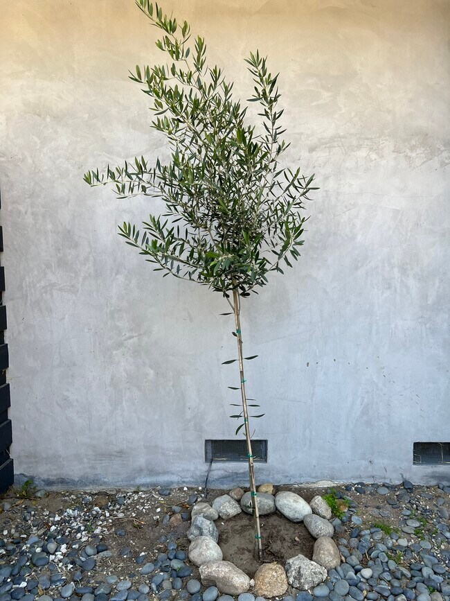 Building Photo - 6121 Glen Holly St