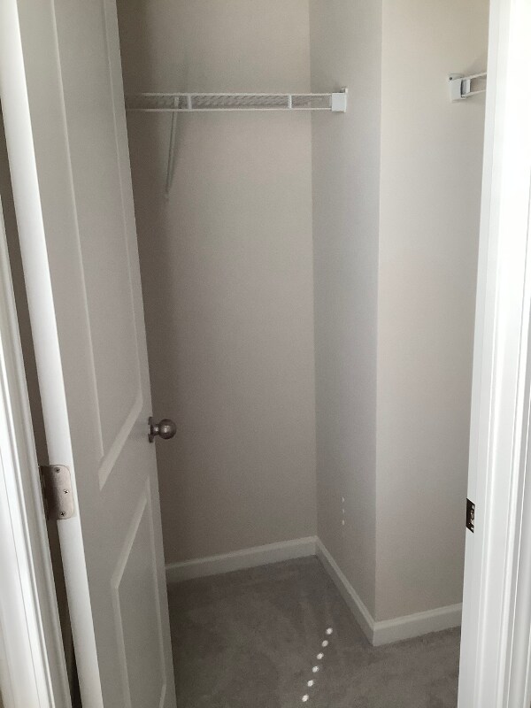 Building Photo - 136 Plumtree Ct