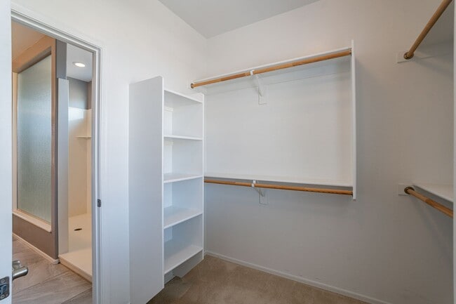 Building Photo - Move In Ready! Three Bedrooms - Beautiful ...