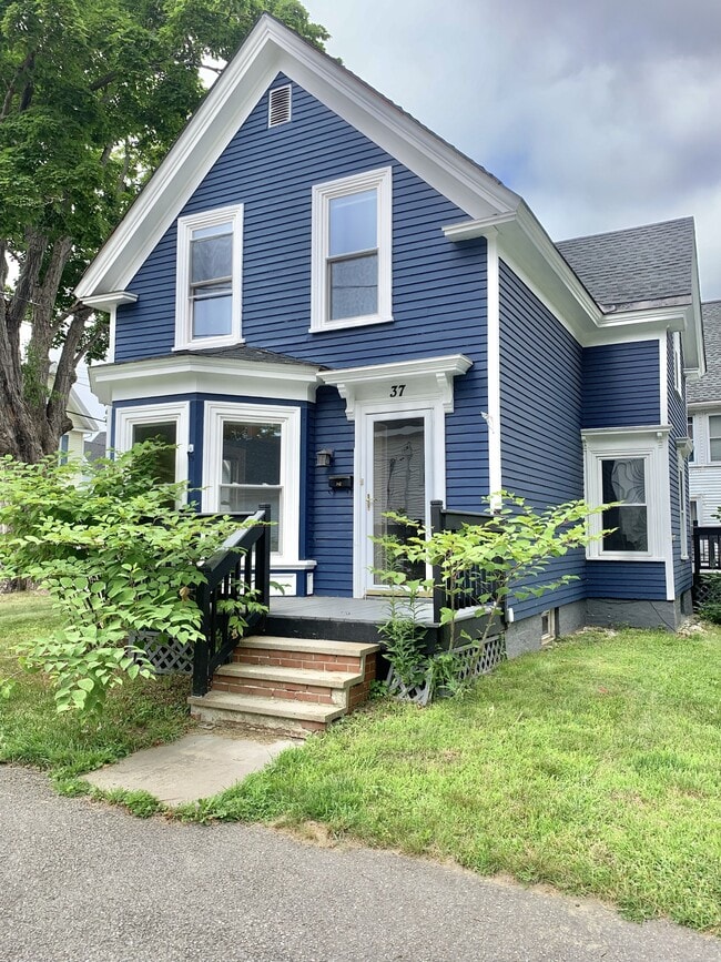 Primary Photo - 37 North St