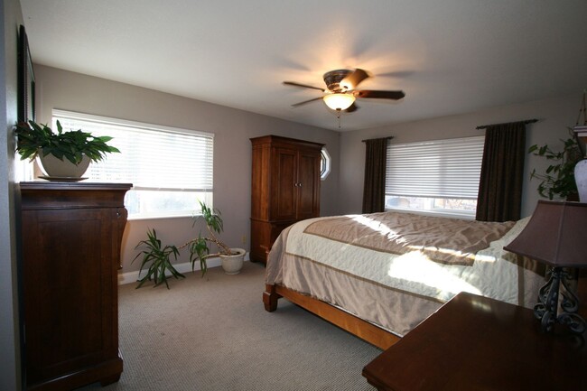 Building Photo - Beautifully Updated Black Forest Rancher on 5 Acres!