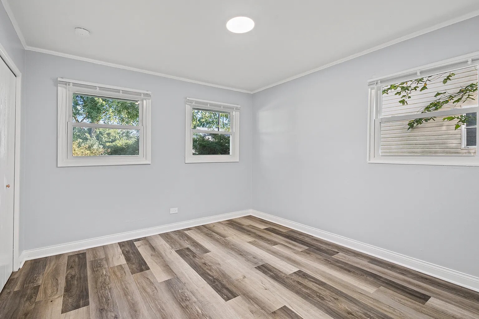 Building Photo - 243 Arcadia St