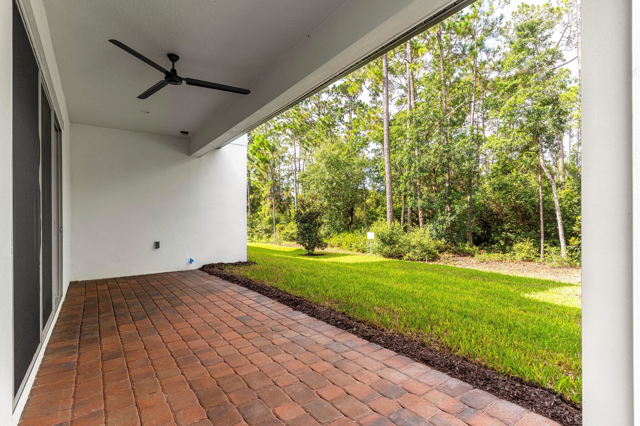 Backyard Overlooking Conservation Area - 10146 Royal Island Ct