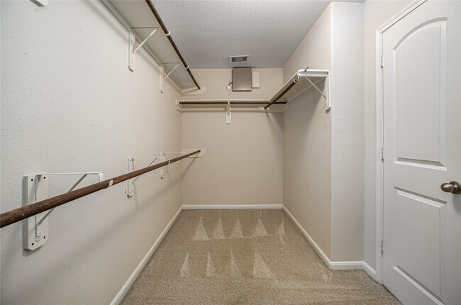 Building Photo - 2703 Domenico Ln