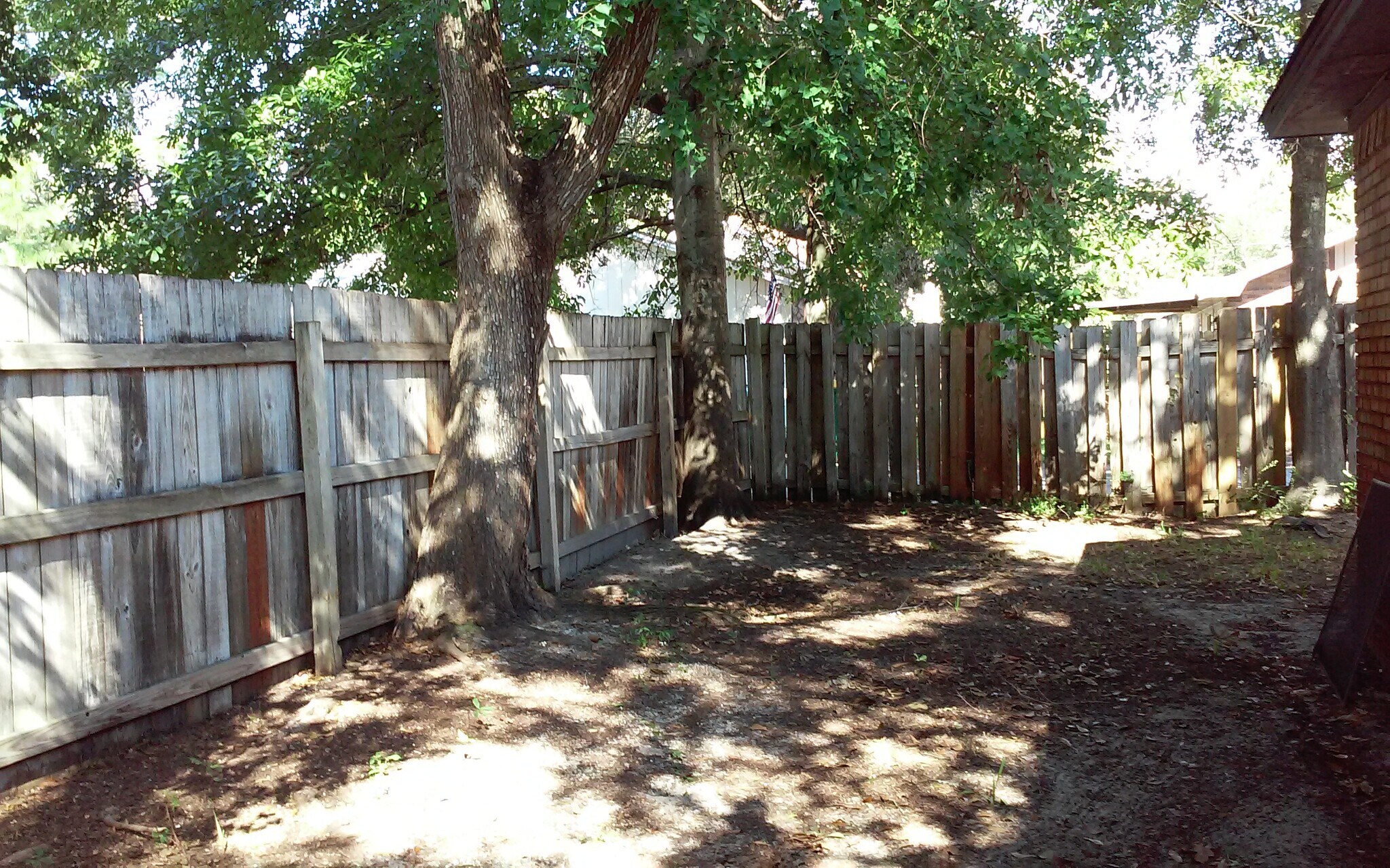 Backyard - 104 Post Oak Pl