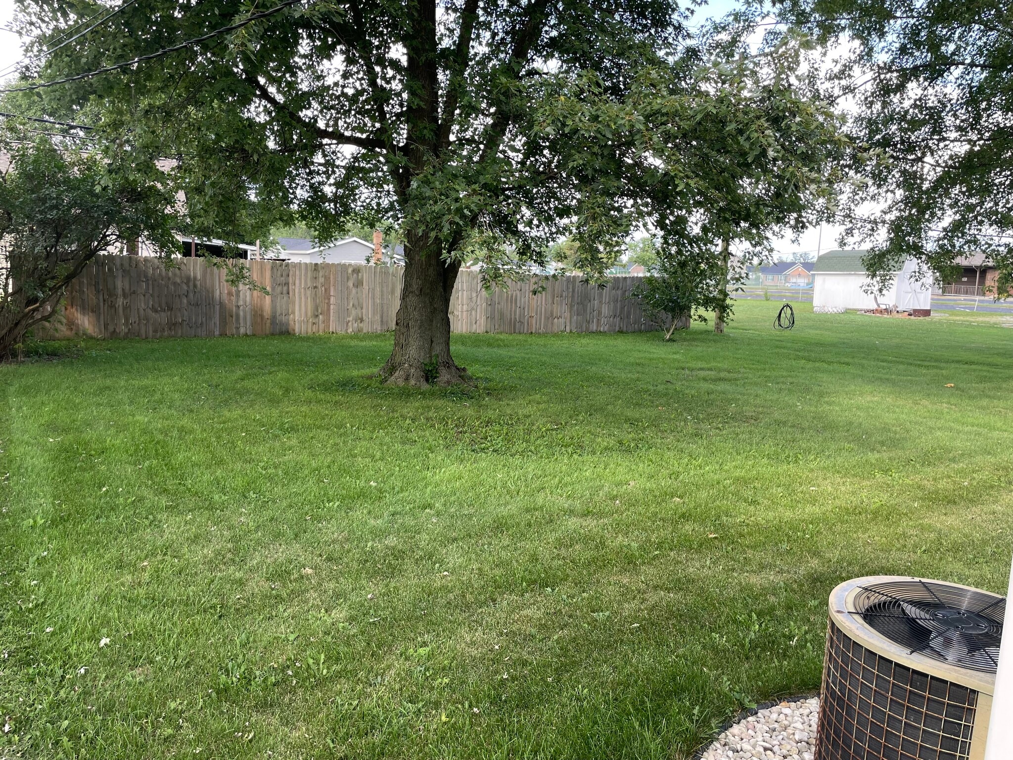 Back Yard - 704 E Pike St