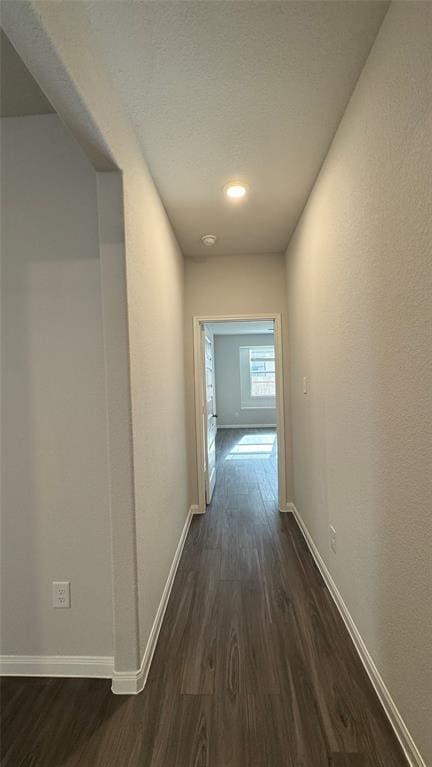 Building Photo - 13249 Musky Dr