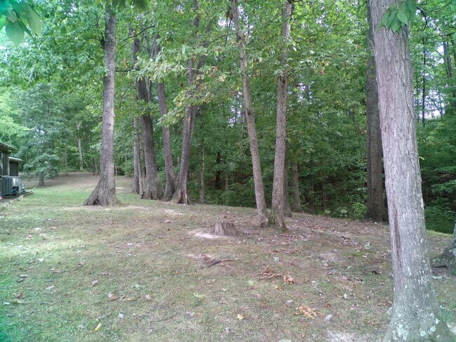 Building Photo - 244 Meadowview Dr