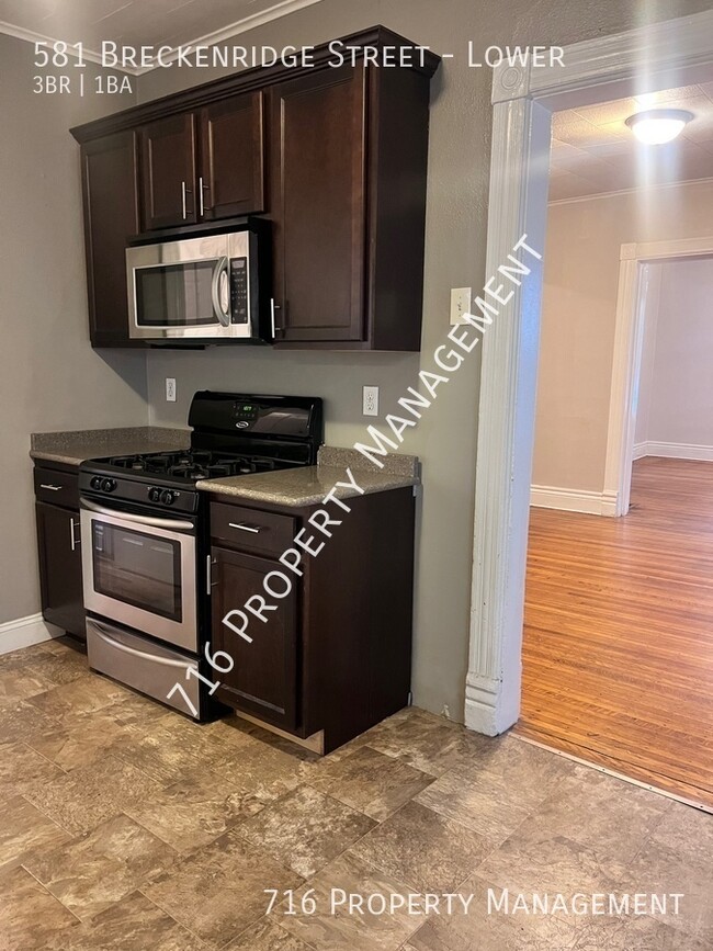 Building Photo - 3 BR 1 BA Apartment near Elmwood Village