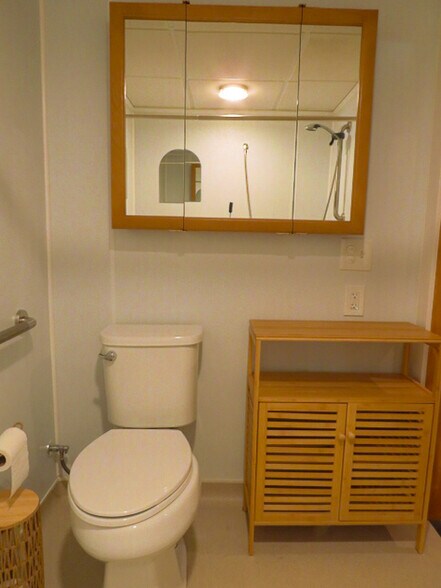 Bathroom (includes full size shower with adjustable shower head). - 365 Lynne Dr
