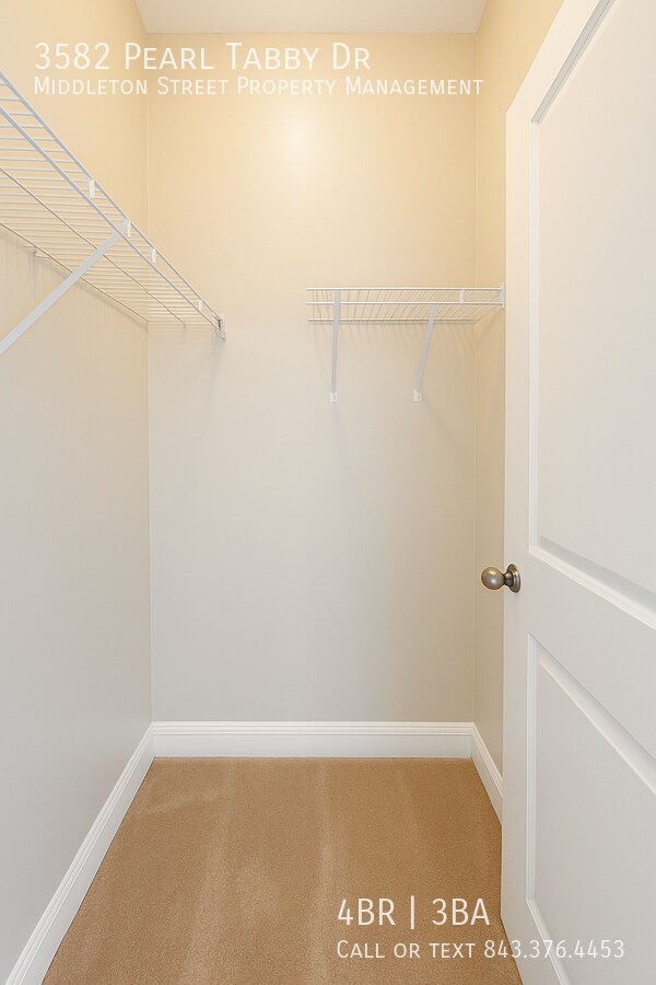 Building Photo - 3582 Pearl Tabby Dr