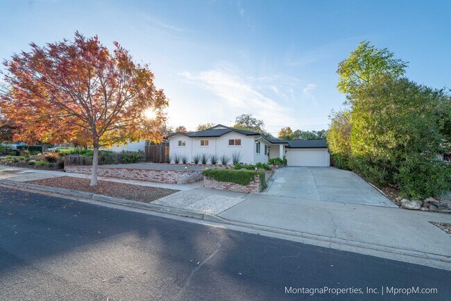 Primary Photo - Los Gatos Single Story House on LARGE Lot updated in 2024!