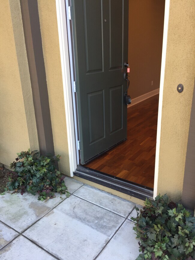 Building Photo - 1317 Corte Alemano