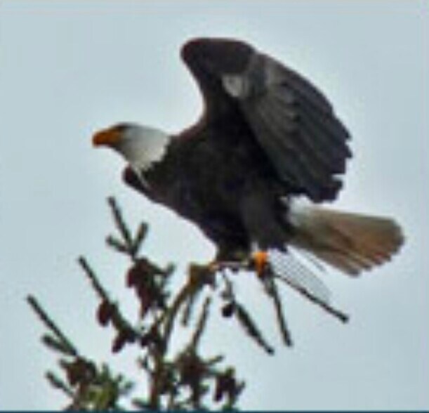 Building Photo - 10092 Hideaway Cove