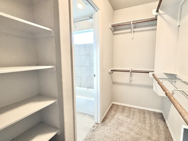 Building Photo - 5629 Corso Ct