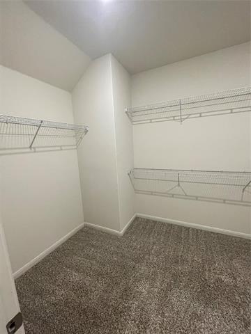 Building Photo - 337 Bearman Dr