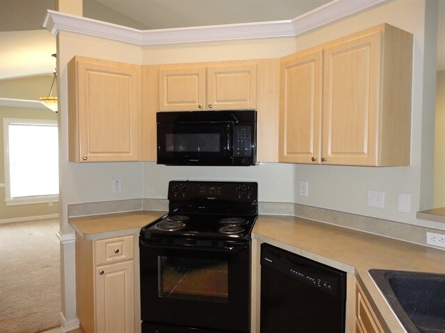 Building Photo - 4937 Whistling Pines Ct