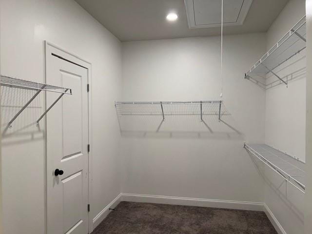 Building Photo - 229 Hickory Chase