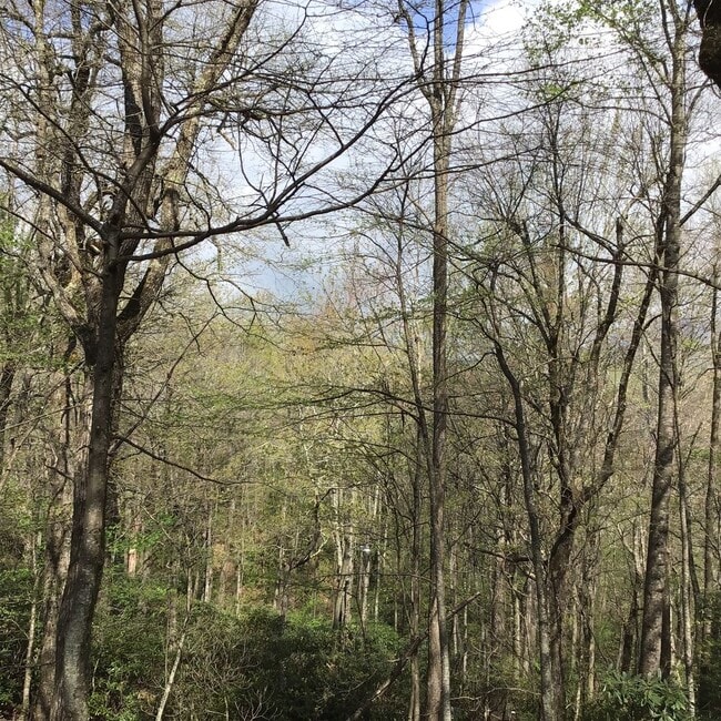 Building Photo - Spacious Mountain Home With Finished Basement & Great Location!