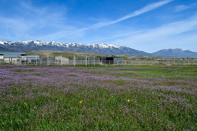 Building Photo - 788 UT-66