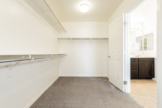 Building Photo - Exquisite 5 bedroom 4 bathroom home with fresh paint and new carpet waiting for you!