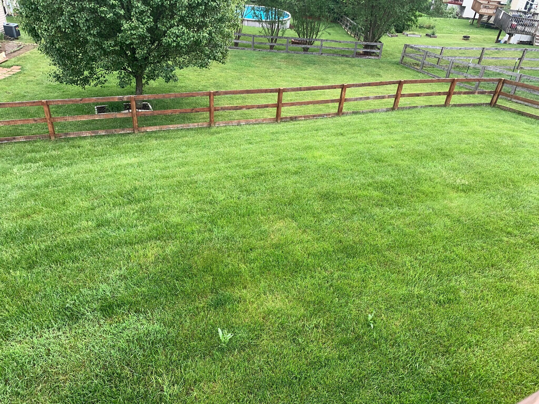 A fenced yard makes life easy - 6869 Gordon Blvd