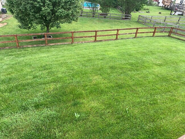 A fenced yard makes life easy - 6869 Gordon Blvd