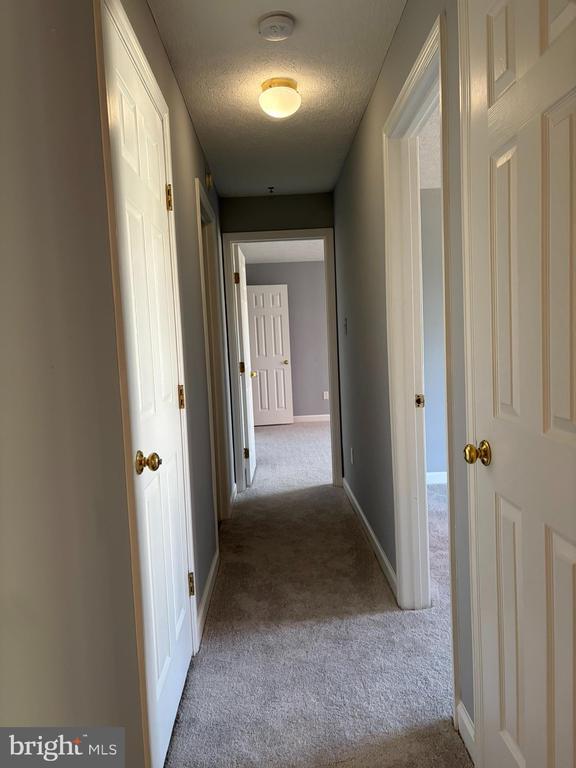 Building Photo - 1401 Sage Ln