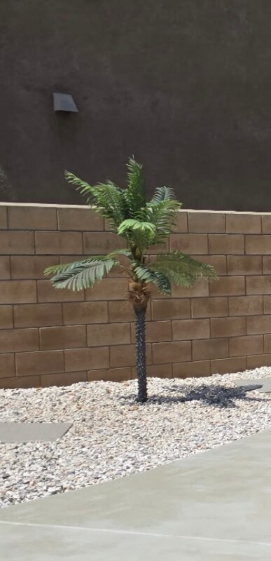 Building Photo - 8418 Lourenco Ln