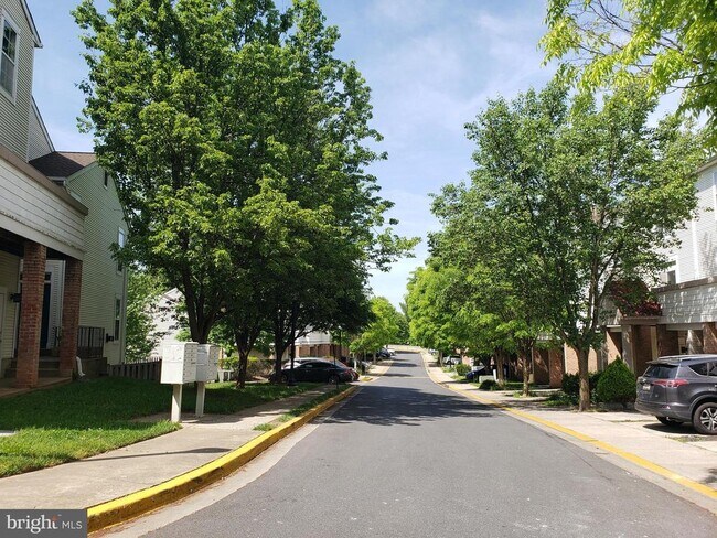 Building Photo - 18022 Royal Bonnet Cir