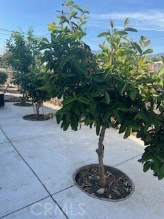 Building Photo - 2204 Park Rose Ave