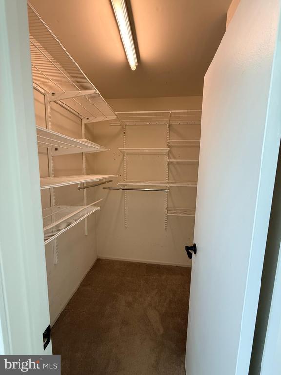 Building Photo - 12 Wanda Ct