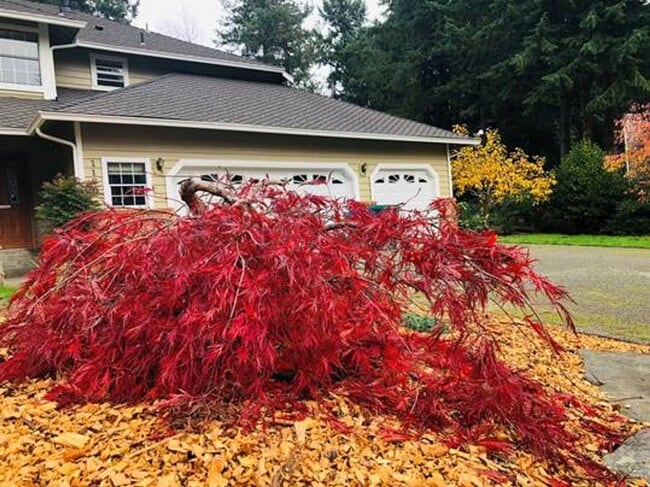 Building Photo - Stunning 4bd centrally located in desirable Ridgetop area