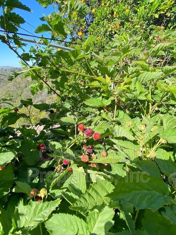 Building Photo - 4372 Argos Dr