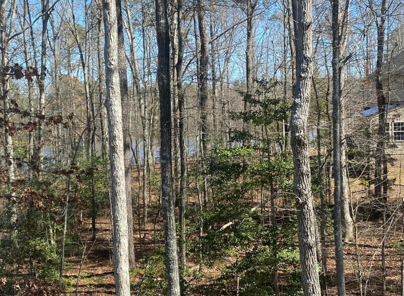 Building Photo - 4007 Island Park Ct