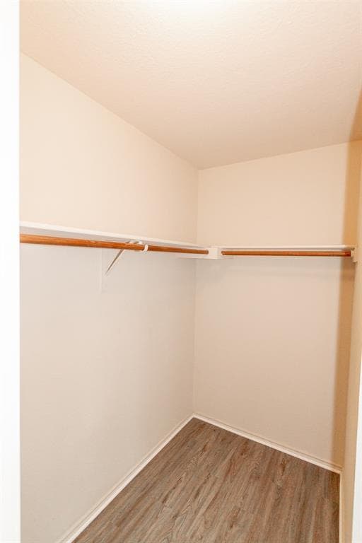 Building Photo - 2406 Magin Meadow Dr