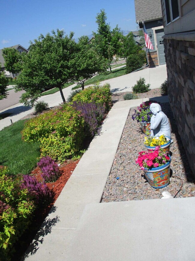 Building Photo - Walkout Basement Apartment - PRICED TO RENT - AVAIL 6/1/26